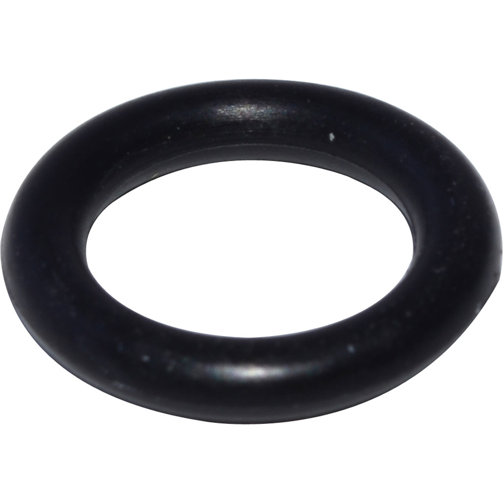 DISCONTINUED ECM P6000.3 Steam/Hot Water Valve Oring 1stline Equipment