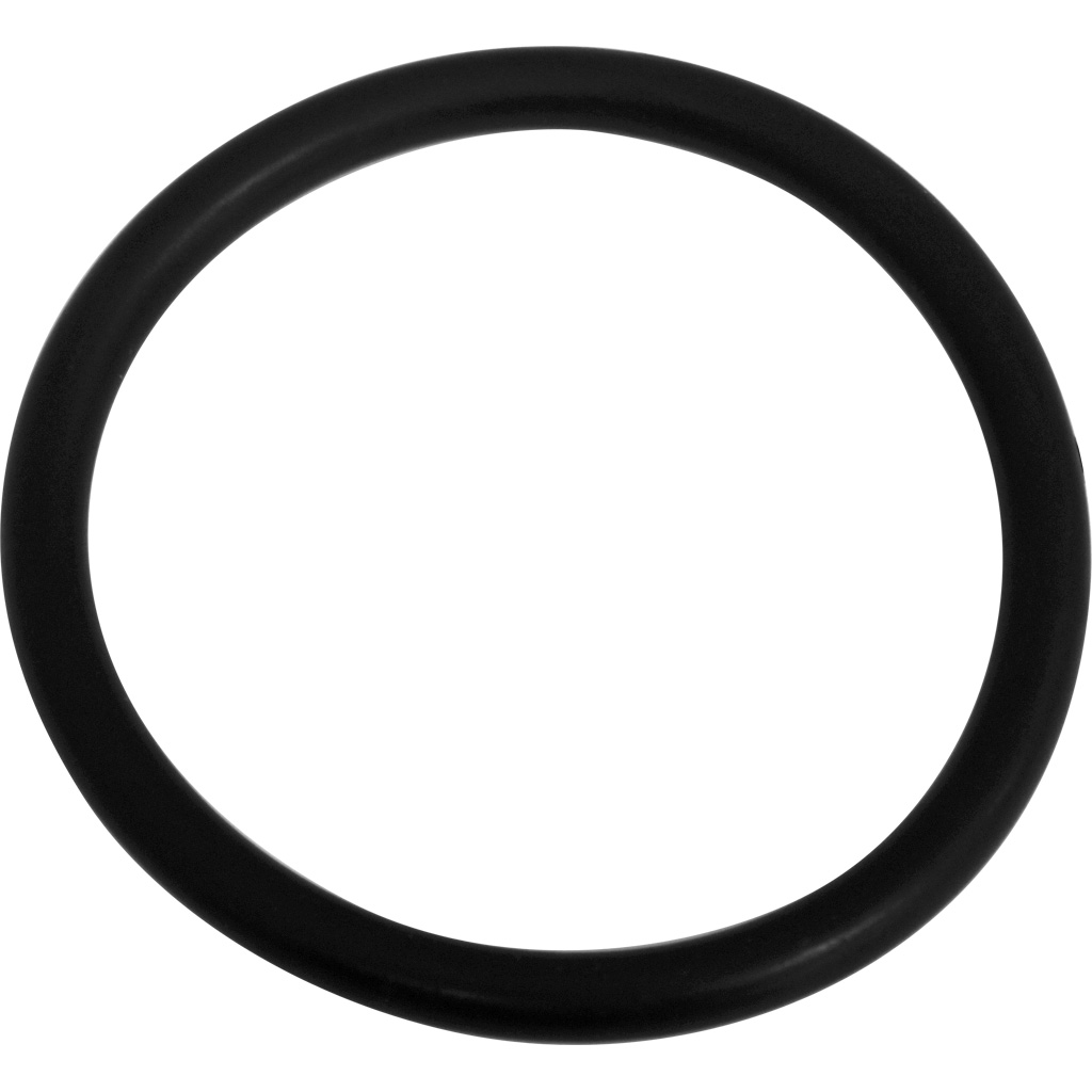 Ascaso Water Softener Oring/Gasket