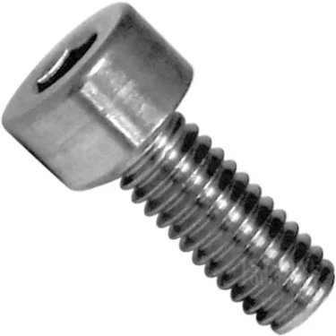 A close-up of an ECM P2006 Screw M 4x10 shows its cylindrical head and threaded body, set diagonally on a plain white background. © 2025 1st-line.com