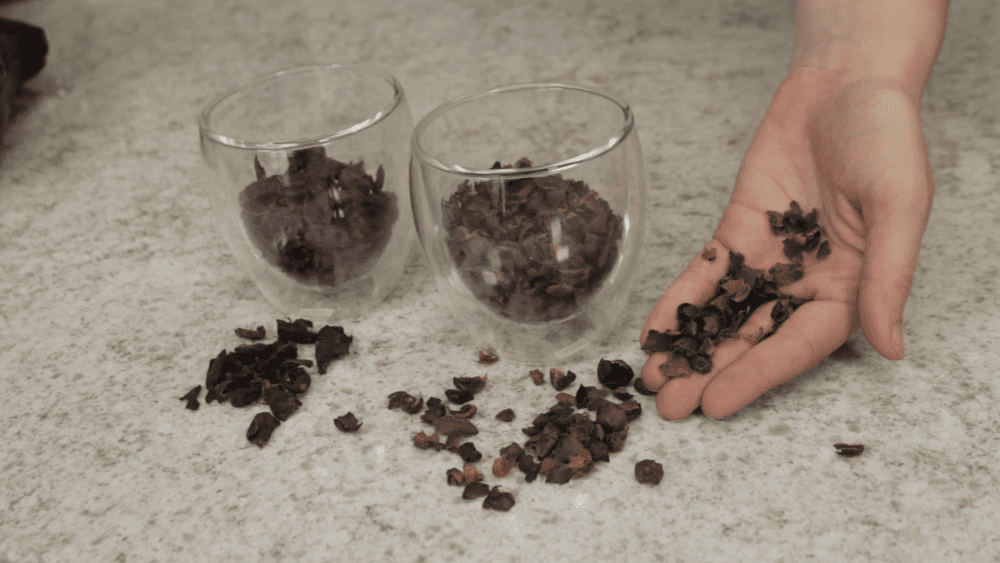 Cascara: What You Need to Know | 1st-line Equipment, LLC